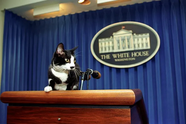 History of Cats in the White House: A Look Over the Last Centuries