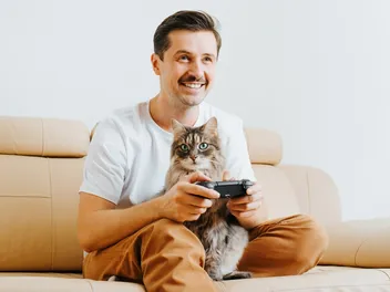 10 Free Cat Video Games You Can Play Online