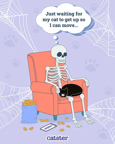 human skeleton cat meme waiting for cat to get up