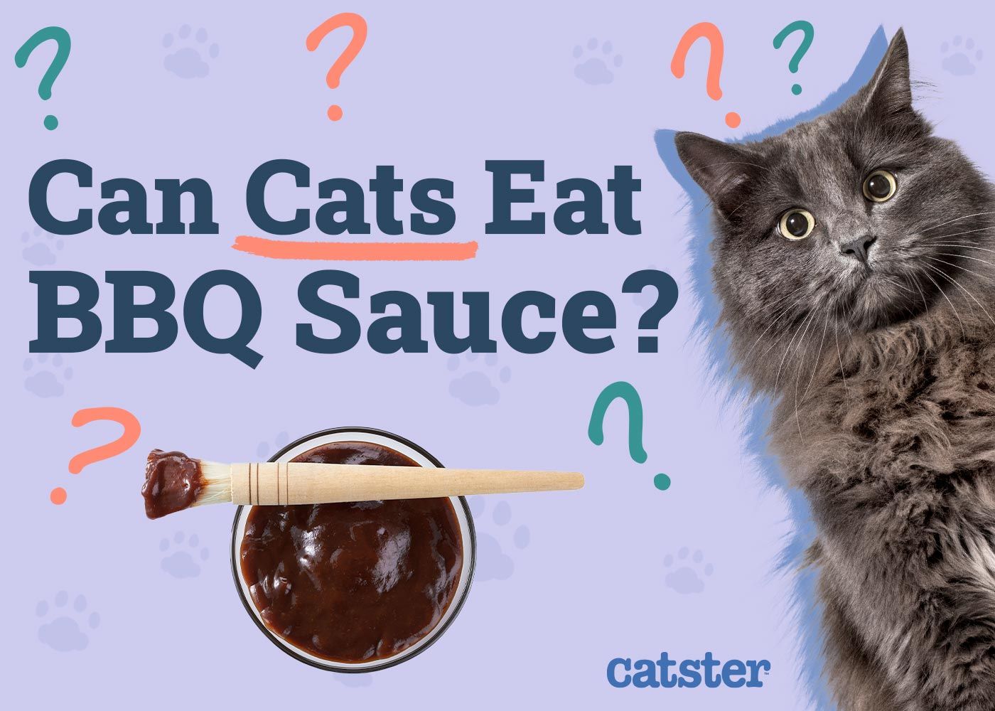 Can Cats Eat BBQ Sauce