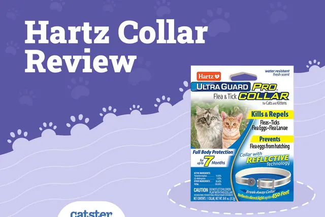 Hartz Ultraguard Flea & Tick Collar for Cats Review in 2026: Pros, Cons & FAQ
