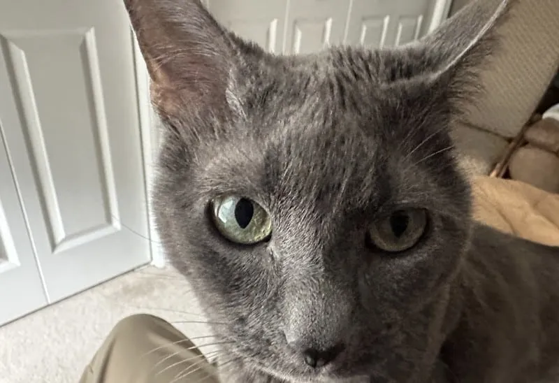 Did I hear you say it's close to dinner time?
