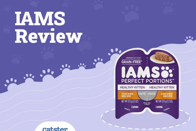 IAMS Cat Food Review 2026: Pros, Cons, Recalls, & Verdict