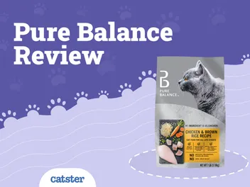 Pure Balance Cat Food Review in 2026: Recalls, Pros & Cons
