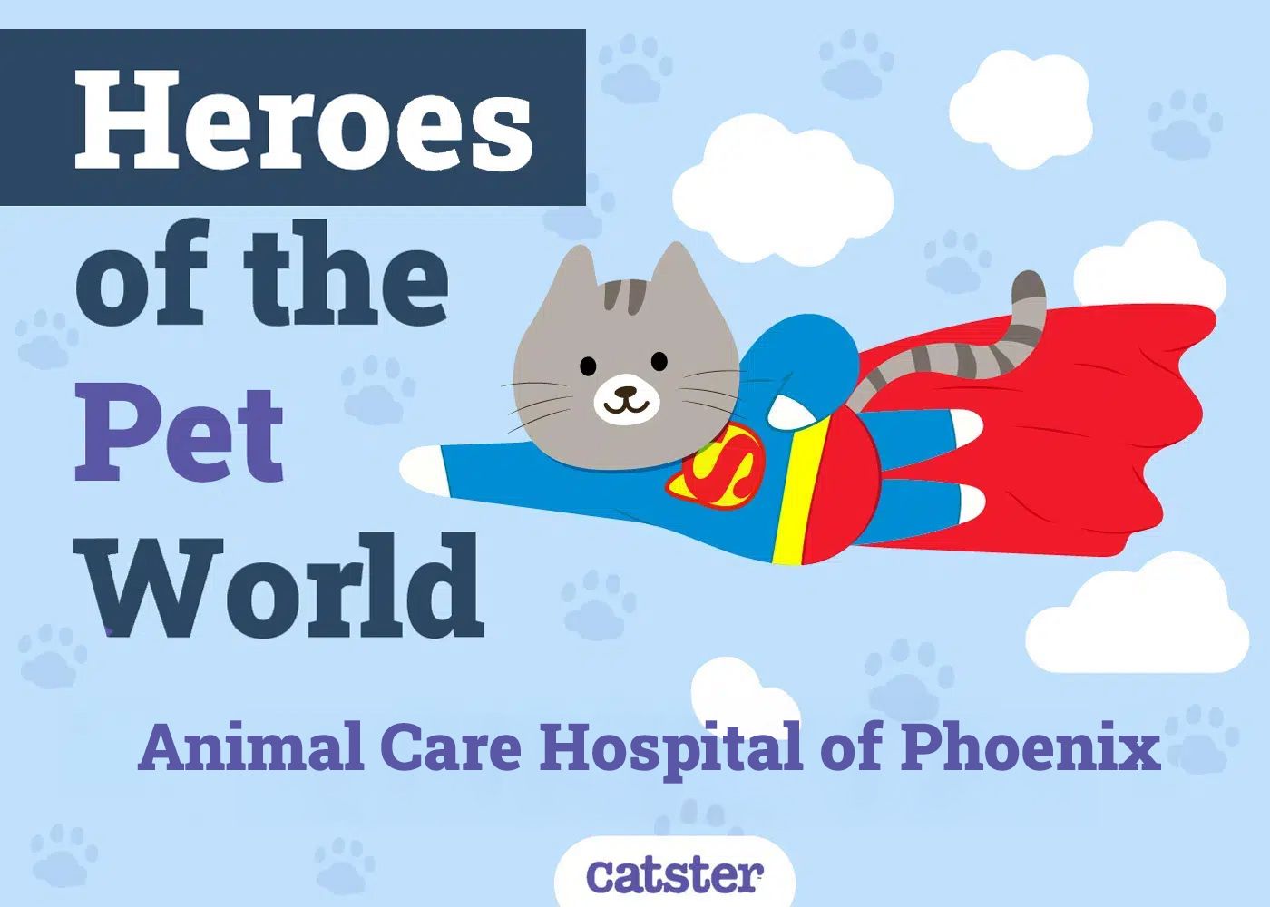 Animal Care Hospital of Phoenix