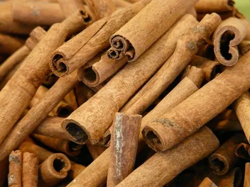 Does Cinnamon Keep Cats Away? Vet Approved Facts & FAQ