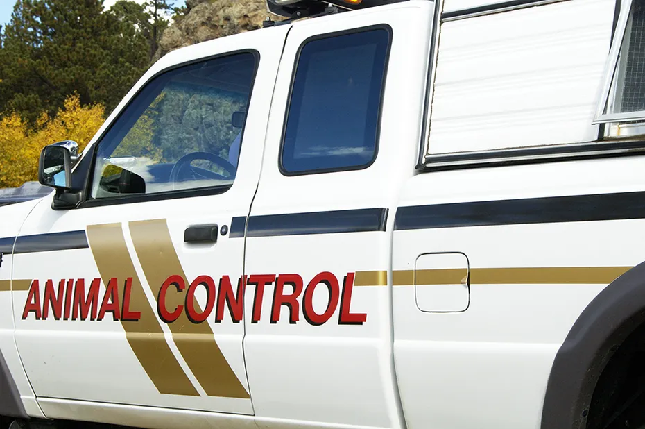 animal control vehicle