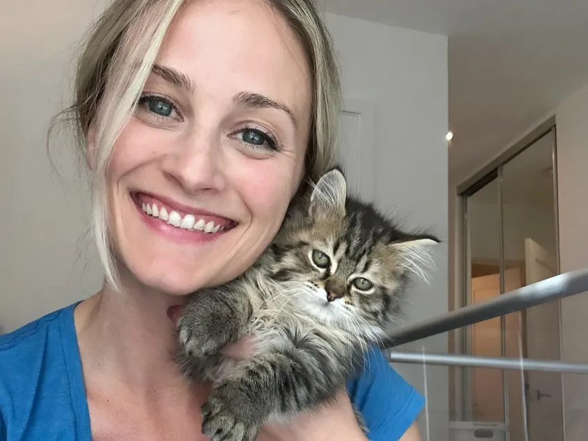 Hope for the Tiniest Fighters Baby Kitten Rescue Heroes of the Pet World - Caroline &amp; Rufus