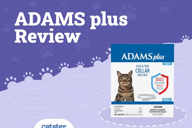 Adams Plus Flea & Tick Collar for Cats Review 2026: FAQ, Pros & Cons