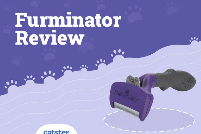 FURminator deShedding Edge Cat Brush Review 2026: Pros, Cons & Features