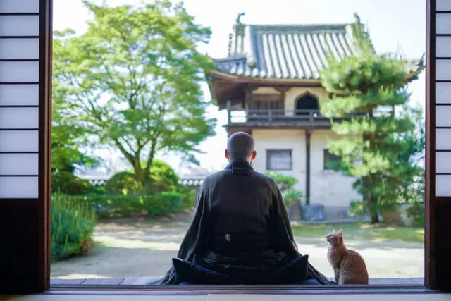 Yanaka, the Aptly Named "Cat Town" of Tokyo