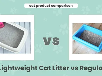 Lightweight Cat Litter vs Regular: Our 2026 Comparison