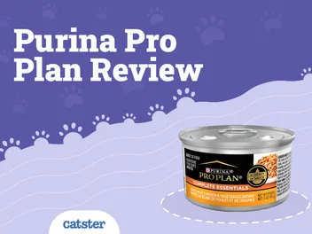 Purina Pro Plan Cat Food Review of 2026: Recalls, Pros & Cons