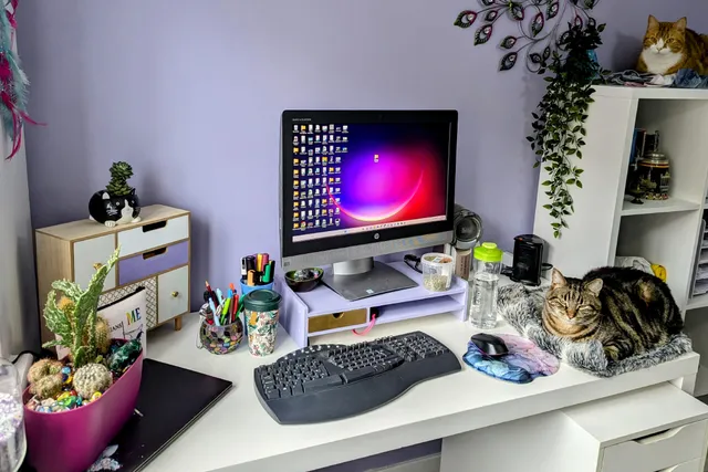 The Joys of Sharing My Office With Cats: Litter in the Keyboard & More