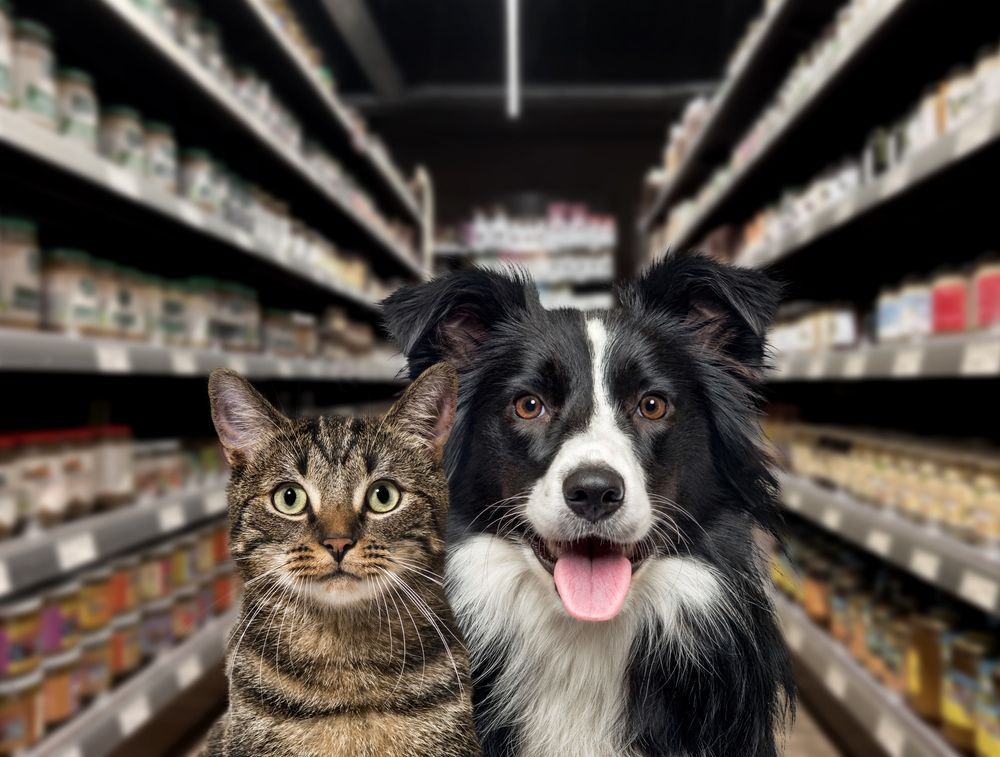 cat-and-dog-at-the-pet-store