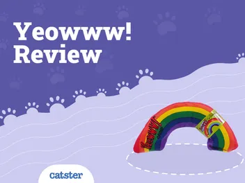 Yeowww! Catnip Rainbow Cat Toy Review of 2026: Pros, Cons & FAQ