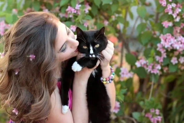 Do Cats Like Kisses? Vet-Verified Explanation