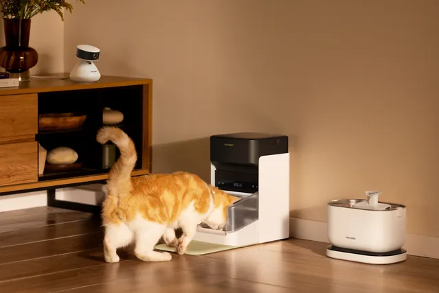 Why Every Cat Parent Needs Petlibro In Their Home
