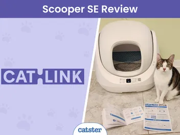 Catlink Scooper SE Review 2026: Improving Pet And Owner Lives Through Technology