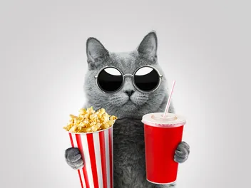25 Top Cat Movies for Kids: The Purrfect Picks in 2026
