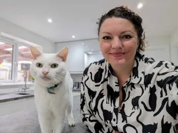 Introducing the Catsters: Dr. Karyn & the Five Felines That Allow Her to Share Their Home