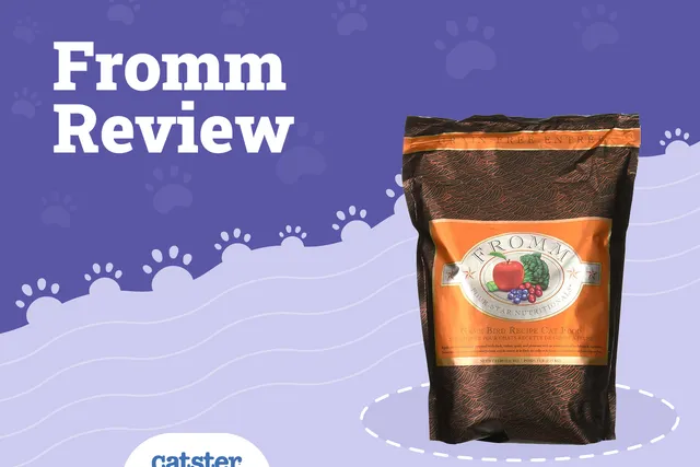 Fromm Cat Food Review of 2026: Recalls, Pros & Cons