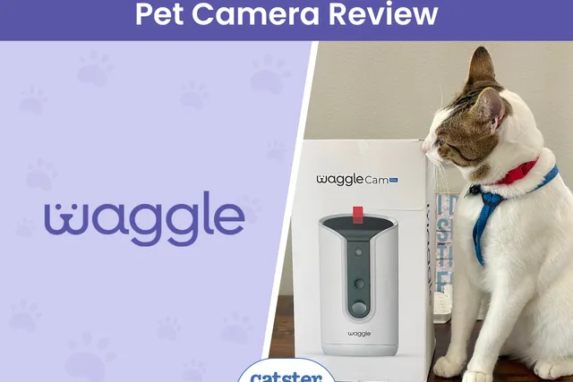 WaggleCam Pro Review 2026: A Detailed Look
