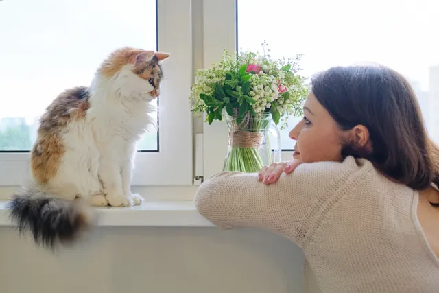 Do Cats Think Humans Are Cute? Exploring Feline Social Perception