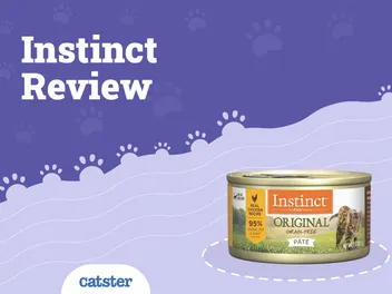 Nature’s Variety Instinct Cat Food Review of 2026: Recalls, Pros & Cons