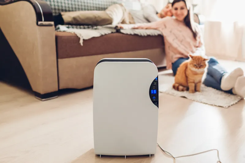 Dehumidifier with touch panel