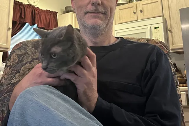 Introducing the Catsters: Christopher & Olga, His Russian Blue Baby