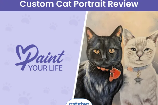Paint Your Life Cat Portrait Review 2026: Our Expert's Opinion