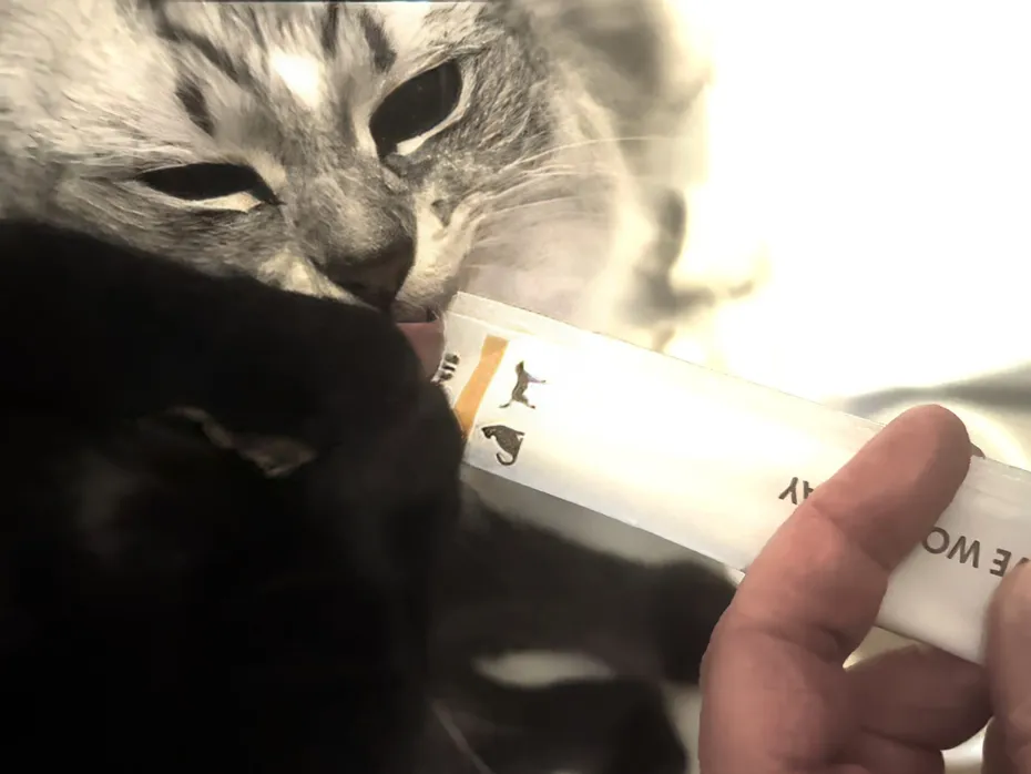 Licky Treats_ A Scientific Investigation into the Tube-Based Delights Taking Over Modern Cat Households