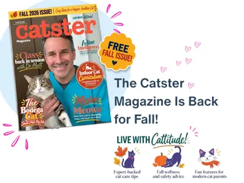 The Catster Digital Magazine: Fall 2026 Issue
