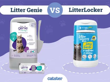 Litter Genie vs LitterLocker: Our 2026 Review & Comparison