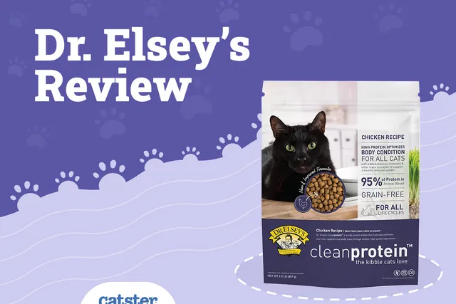 Dr. Elsey's Cat Food Clean Protein Review 2026: Recalls, Pros & Cons