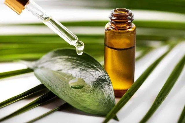 Does Tea Tree Oil Kill Fleas on Cats? Effectiveness & Safety Reviewed by Our Vet
