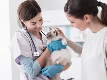 How to Save Time at the Vet? 11 Vet Approved Tips for Being Efficient at the Vet