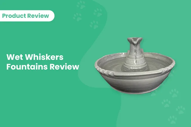 Wet Whiskers Fountains Review (2026 Update)