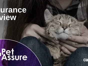 Pet Assure Insurance Mint Wellness Plan Review 2026: A Detailed Look