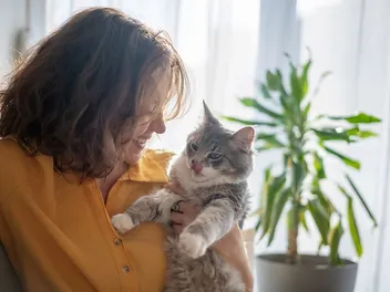 Why Do Cats Like Wet Hair? 9 Vet-Reviewed Reasons