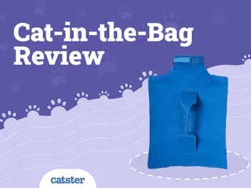 Cat-in-the-Bag Cat Carrier Review of 2026: Pros & Cons