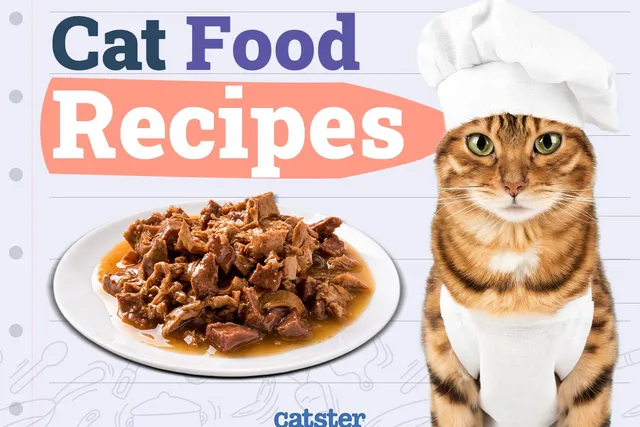 5 Homemade Cat Food Recipes (Vet Approved)