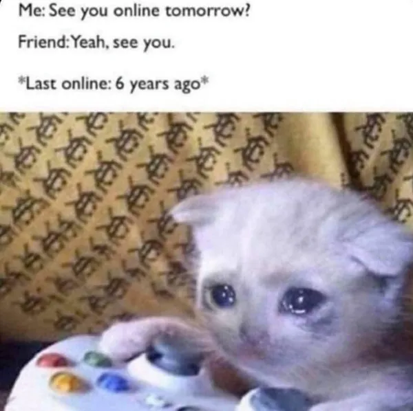 Online Friends Cat