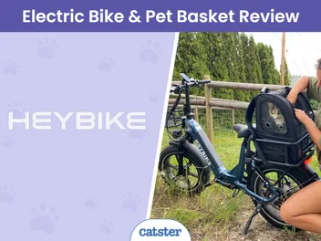 Heybike Ranger S with Front & Rear Baskets Review 2026: Now Your Cats Can Adventure Too