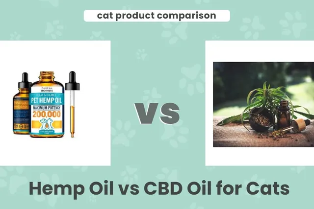 Hemp Oil vs CBD Oil for Cats: Is There a Difference? Our 2026 Vet-Reviewed Comparison