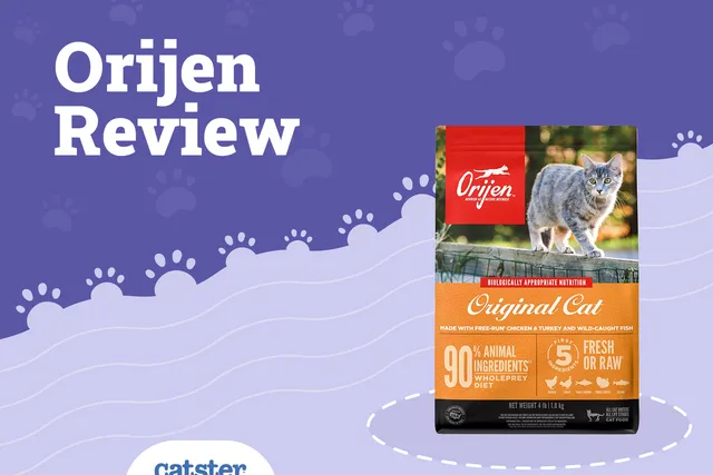 Orijen Cat Food Review of 2026: Recalls, Pros & Cons