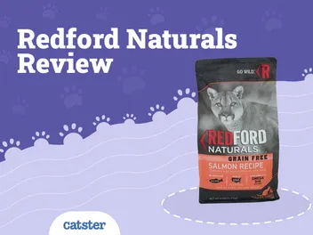 Redford Naturals Cat Food Review of 2026: Recalls, Pros & Cons