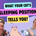 Chatting About Sleeping Positions, Loafing & Cats in Tubes | Chatty Cattys, Episode 33