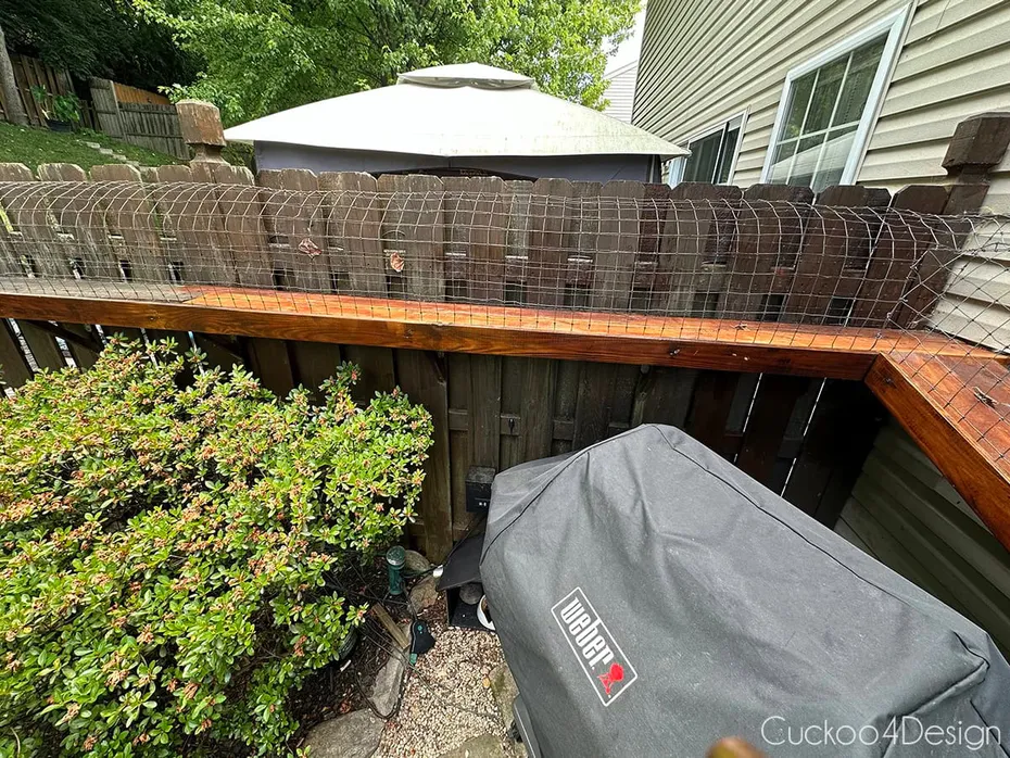 DIY cat catio